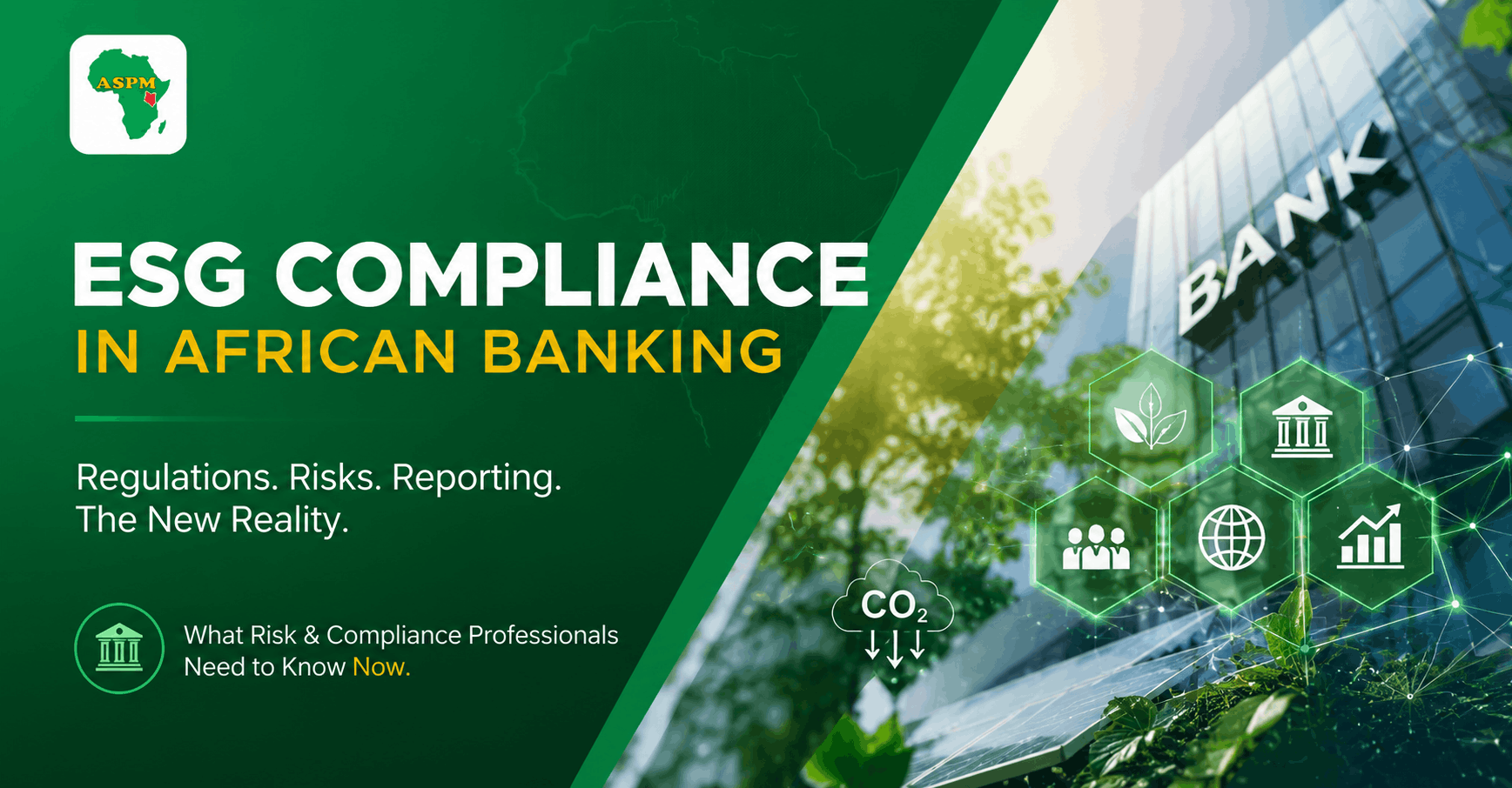 Home - Home ESG compliance regulations for African banks